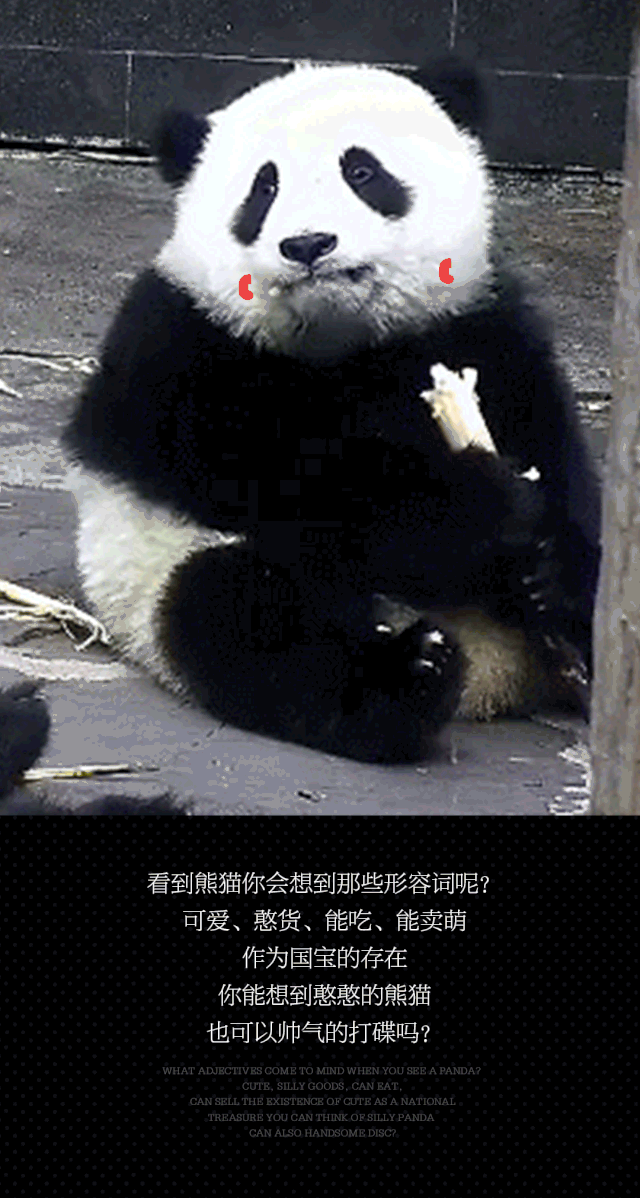 22#你见过熊猫打碟吗?#dj pink panda@济南奥斯卡酒吧